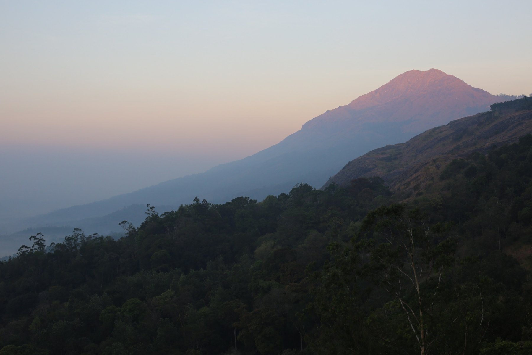 Natural setting
